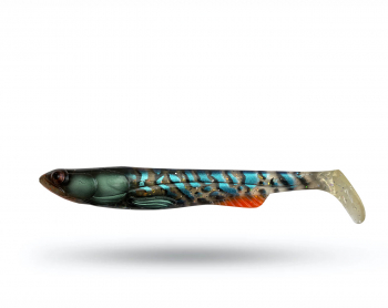 TrueGlide Swim Shad 29 cm - Clearwater Burbot